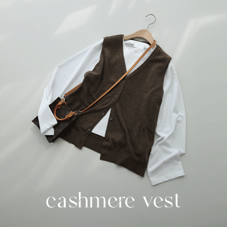 Tiffle Cashmere Vest U4643