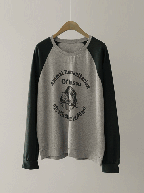 Bamou Raglan T-shirt T10804