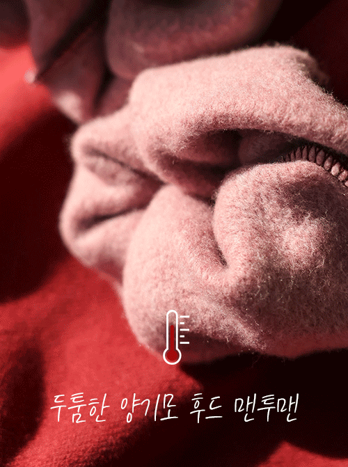 Saphir Hood Sweat Shrits T11199