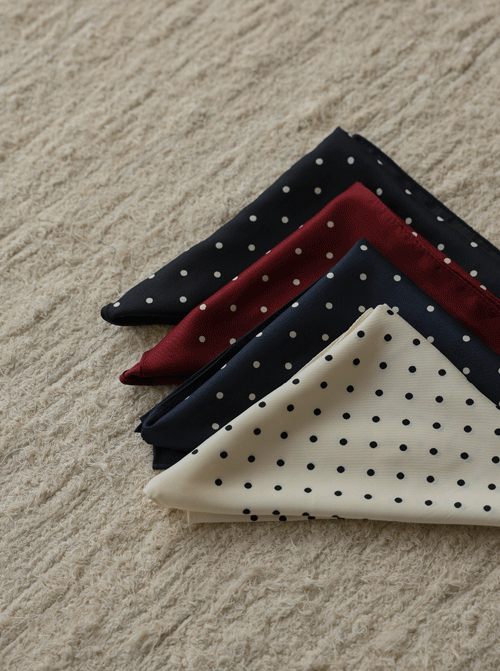 Paseron Dot Scarf F1296